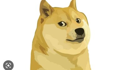 Twitter yagizwe agatobero k'imbwa