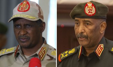 Sudan: Aho inzovu ebyiri ziri kurwanira ibyatsi biri kuhatesekera