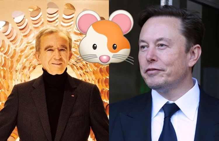 Elon Musk uhugiye mu mbwa yakubiswe inshuro