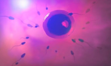 Yafatiwe imyanzuro n'urukiko nyuma yo kubyara abana barenga 500