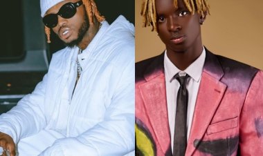 Diamond atangiye kwikanga igihombo muri Dvoice urimo kuryama mu masaha y'akazi