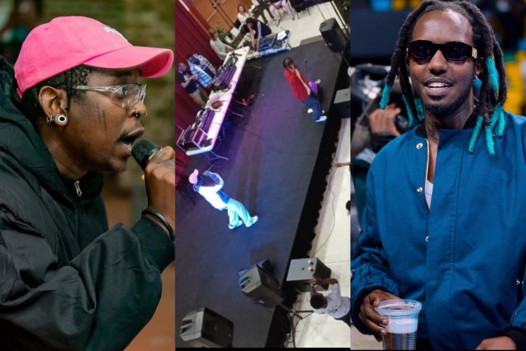 B-Threy yavuze  impamvu we na Bushali baririmbiye abantu mbarwa mu Bufaransa