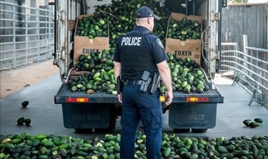 Texas: Polisi yafashe avoka zirenga ibihumbi 34 zari zibwe