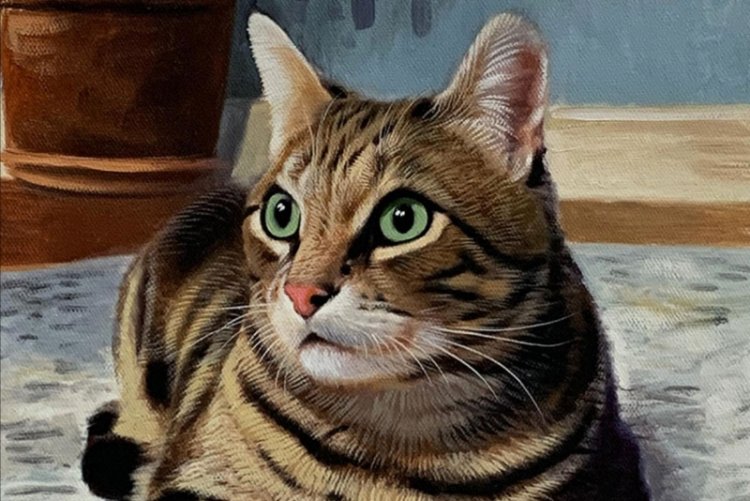 U Buhinde: Umugore yajyanye umugabo we mu nkiko amushinja kumuharika injangwe